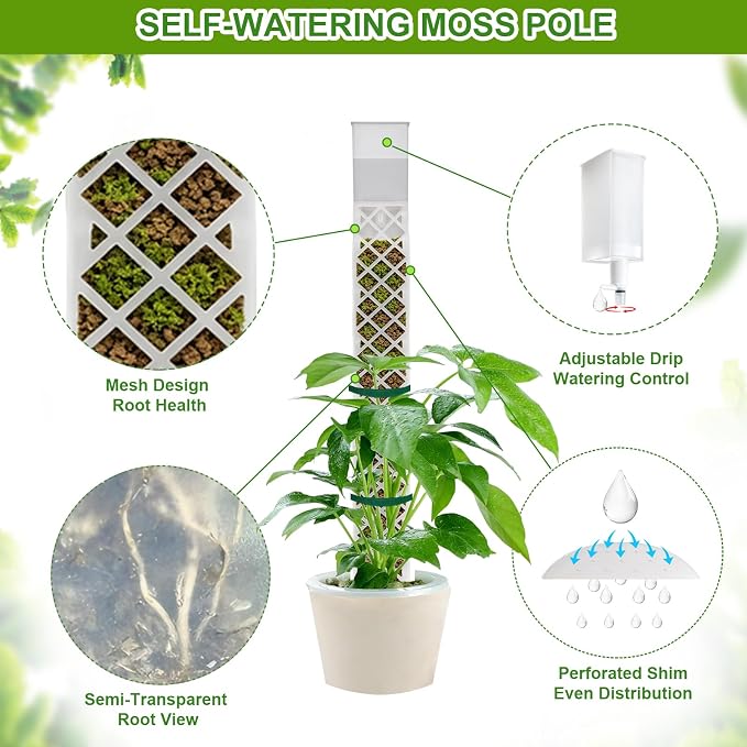GJL Self Watering Moss Pole for Monstera, Stackable Clear D Shape Moss Pole with Watering Dripper, Indoor Climbing Plant Support for Pothos and Philodendron