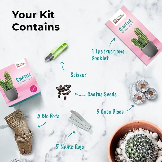 Cactus Kit Grow Your Own Cactus Seeds Starter Kit | Plants, Seeds & Bulbs | Easily Grow Beautiful Varieties of Cactus Plants with Complete Beginner Indoor Cacti Kit – House Plant - Men Women Gifts