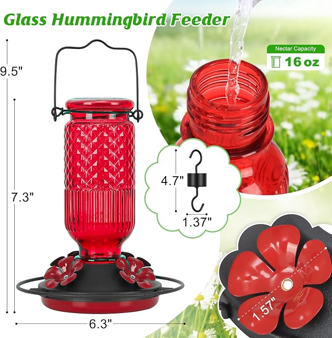 FEED GARDEN Glass Hummingbird Feeder for Outdoors