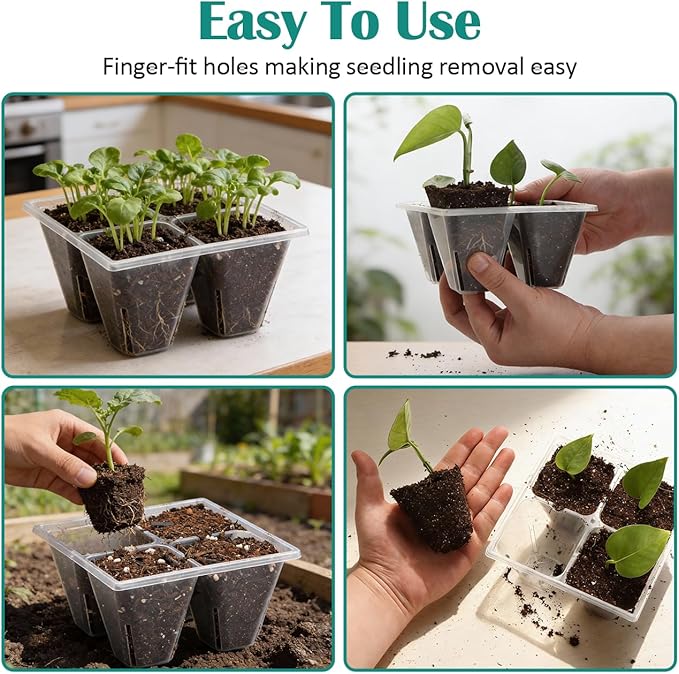 RooTrimmer 80 Pack Reusable 4-Cell Clear Seed Starter Trays - Extra Large Drainage Holes, Easy Transplant, Clear Transparent Tray for Root Observation, Seed Starting, Fits Standard 1020 Flats