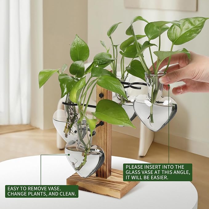 Plant Terrarium Propagation Stations with Wooden Stand | Glass Vase for Indoor Hydroponics Home Garden Office Decoration Gift for Women - 4 Love Bulb Vase