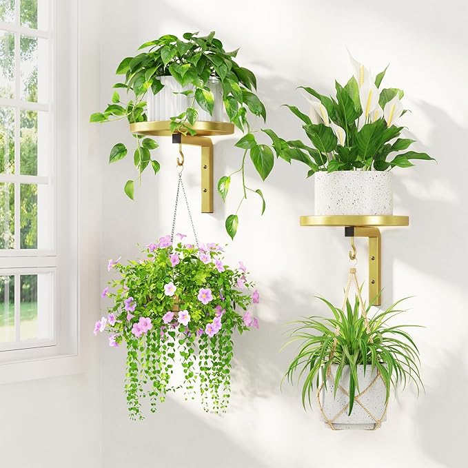LASZOLA Plant Hangers Shelves Wall Mounted Indoor, Metal Window Plant Holders, 2Pcs Modern Floating Flower Display Stand with 2 Hooks for Outdoor Kitchen Bathroom Decor, Gold