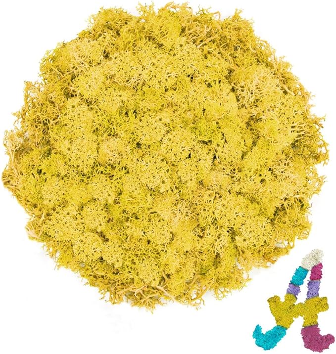 Preserved Reindeer Moss 3.5 OZ Yellow Natural for Crafts, DIY Gift Christmas Decor, Wall Art, Potted Plants, Floral Fake Moss for Easter Table Decor Wedding Decorative(3.5 OZ, Yellow)