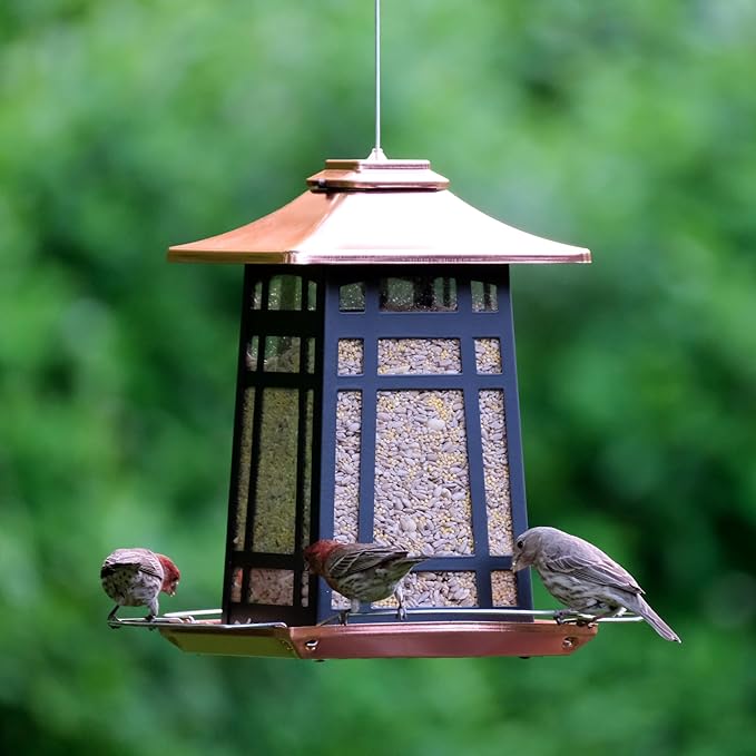 Nature's Way Outdoor Garden Décor Hanging Wild Bird Seed Feeder, Metal Copper Gazebo Feeder, Easy Fill, Rain Drainage, Black and Copper