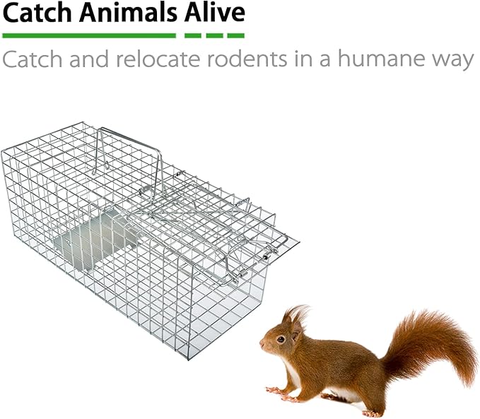 Humane Squirrel Trap Heavy Duty Live Animal Cage Trap (Not for Large Animals)