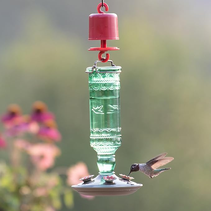 Perky-Pet Glass Bottle Hummingbird Feeder - Outdoor Garden Décor Humming Bird Feeder,8108-1SR - 10 Fl Oz Nectar Capacity - Durable Green Antique Design - Hang from Tree,Porch,Deck,Hook,(Pack of 6)