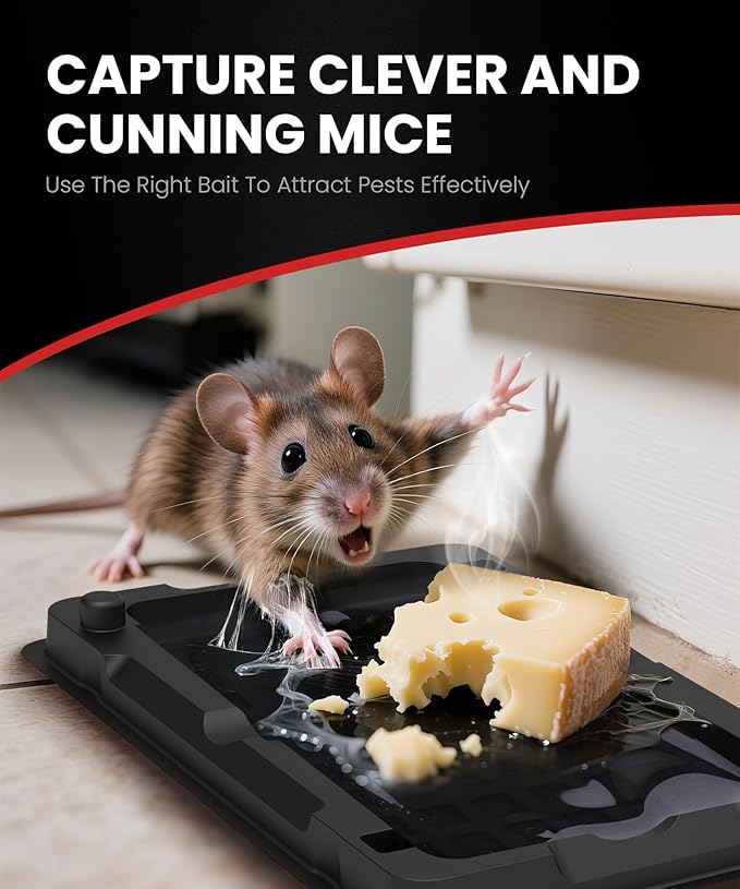 Wowcatch Sticky Mouse Traps Indoor for Home -6 Pk Pre-baited Glue Traps for Roaches, Spider, Lizard, Rodent Catcher for Kitchen, Garage, Glue Boards for Insects, Pet Safe Pest Control, Non-Toxic