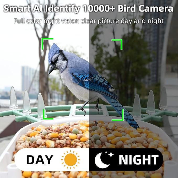 Bird Feeder with Camera, AI Identify Species, Smart Feeder Camera Bird Videos & Instant Notifications, Ideal Gift for Birds Lover