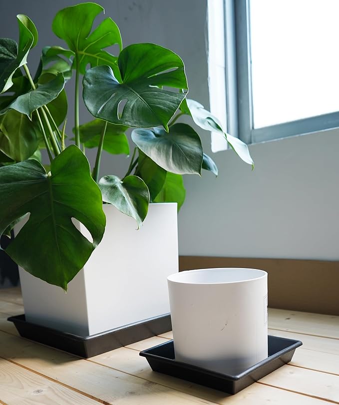 NIMYAU Square Plant Saucer 5 Pack 8 10 12 14 16 18 20 Inch, Plant Trays for Pots Heavy Duty Plastic Plant Saucers for Indoors Outdoors, Flower Pot No Holes Plant Drip Trays