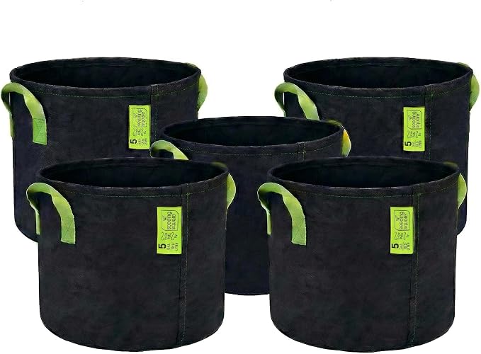 Seeding Square Fabric Grow Bags (5 Gallon) – Durable, Reusable Air-Pruning Plant Pots for Vegetables, Fruits & Herbs – Eco-Friendly Breathable Planter Bags for Healthy Roots & Bigger Harvests