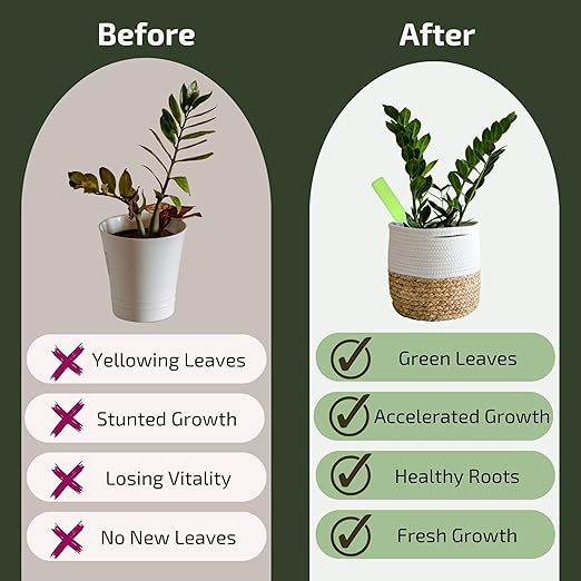 Plant Food for Houseplants | Ready-to-Use Indoor NPK Fertilizer & Plant Fertilizer Sticks (8 Drip Feeders)