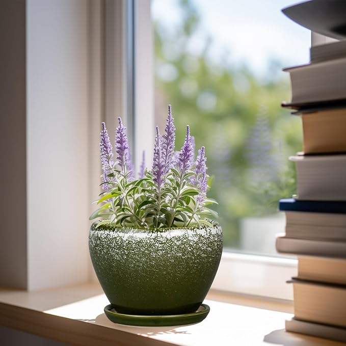 Ceramicfor 6 Inch Plant Pot - Ceramic Planter Pot with Drainage Hole and Saucer, Glaze Succulent Pot Modern Round Flower Pot for Indoor Plants, Dark Green