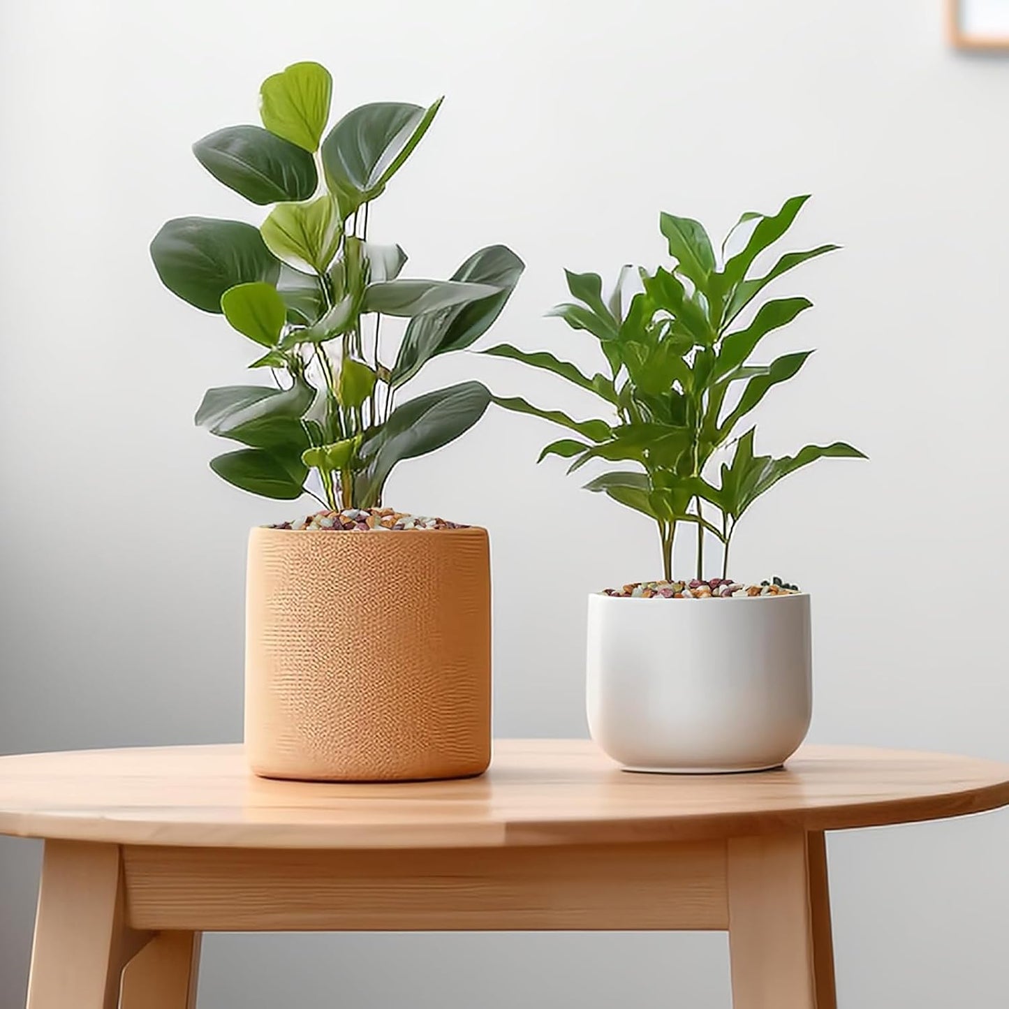 5 lbs Pebbles for Indoor Plants, Succulent Rocks, 3/8" Polished Pebbles for Bamboo, Vase, Terrarium, Natural Decorative Small River Rocks for Crafts, Cactus, Outdoor Garden Landscaping