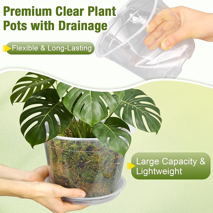 8 Inch Clear Nursery Pots with Drainage and Saucers, 5 Pack Large Clear Plastic Nursery Pots for Plants, Seedling Plant Pots for Repotting and Growing Plants, Flowers & Vegetables(8 inch)
