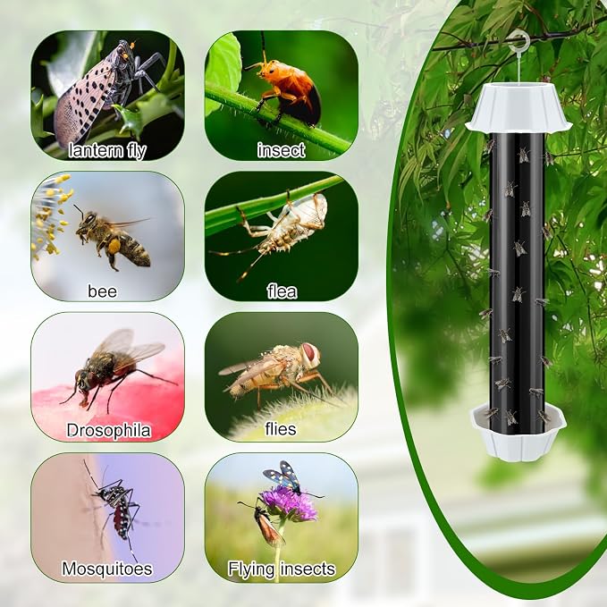 Qualirey 8 Pcs Sticky Fly Trap Fly Stick Indoor Outdoor Long Lasting Hanging Flies Bug Catcher Paper Tape Strips with Hook for Wasps Gnats Bug Insects Fruit Flies Mosquitoes (Classic-2,Black)