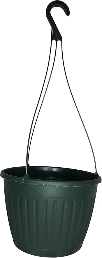 Landmark 10" Imperial Plastic Hanging Basket (Green, 5)