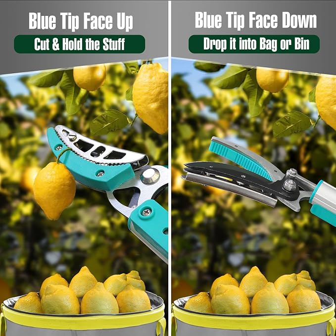 JARDINEER Lightweight Tree Pruner Extendable, 6-10ft Tree Trimmers Long Handle Pruner, Ergonomic Grip Long Reach Cut & Hold Pole Pruner and Stable Fruit Picker Pole