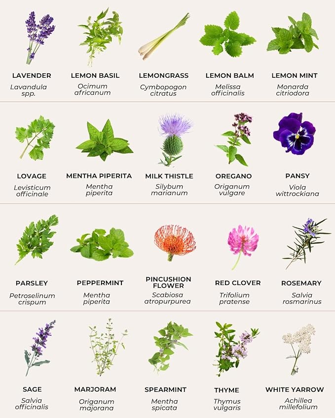 Tactiko Survival 40 Medicinal & Tea Herb Seeds Variety Pack, Indoor & Outdoor Herbal Garden Kit, USA Grown Heirloom Non-GMO, Herbal Seeds for Teas, Resealable Mylar Bag for Long-Term Storage