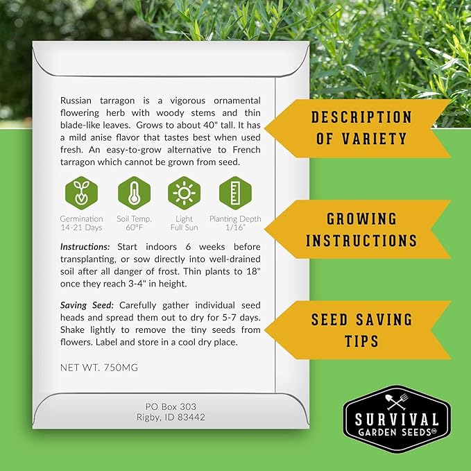 Russian Tarragon Seeds for Planting - Plant & Grow Big Flowering Herbs in Your Home Vegetable Garden - Non-GMO Heirloom Variety - Survival Garden Seeds (5 Packs)