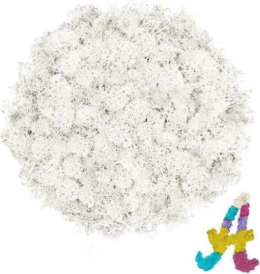 3.5 OZ White Reindeer Moss, Preserved Moss for Plants, Moss Decor, Green Moss for Crafts, Moss for Potted Plants, Craft Decorative Moss Decor, Dried Moss