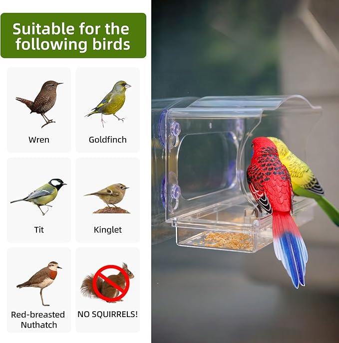 Window Bird Feeder with Strong Suction Cups - Clear Acrylic Bird Feeders for Outdoor Use, Easy-to-Clean Viewing Box for Cats and Birdwatching, Large Capacity, Curved Design for All-Weather Durability