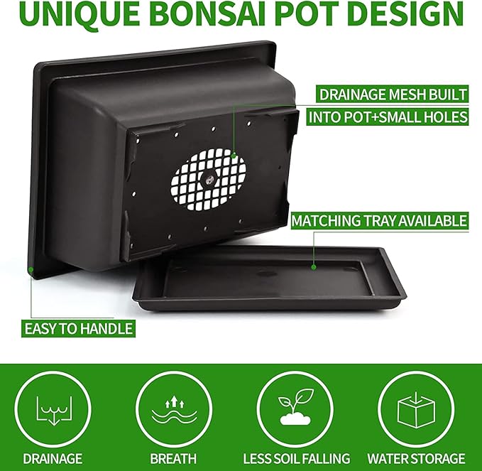 Meekear 5 Bonsai Tree Kit Complete Plant Growing Tools, Grow in Pot Indoor Bonsai Tree Starter Kit, Great Home Gardening Potted Plants DIY Gift for Adults