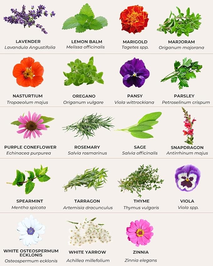 35 Tactiko Edible Flower & Herb Seeds Kit Variety - USA Grown Heirloom Non-GMO Open-Pollinated Seeds for Planting - Indoor Outdoor Gardening - Survival Long-Term Storage - Resealable Mylar Bag