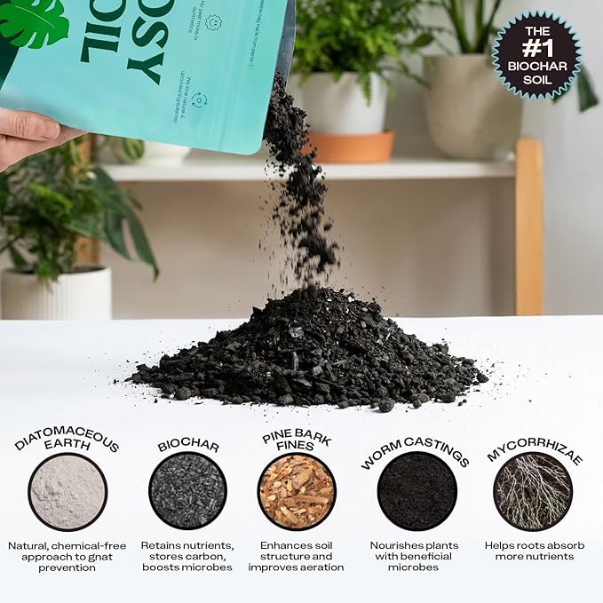 Rosy Soil Indoor Potting Soil for House Plants - Organic Potting Soil Mix for Indoor Plants - Enriched w/Root-Boosting Biochar for Foliage Plants, Flowers, Herbs - Peat Free, Less Prone to Gnats - 4qt