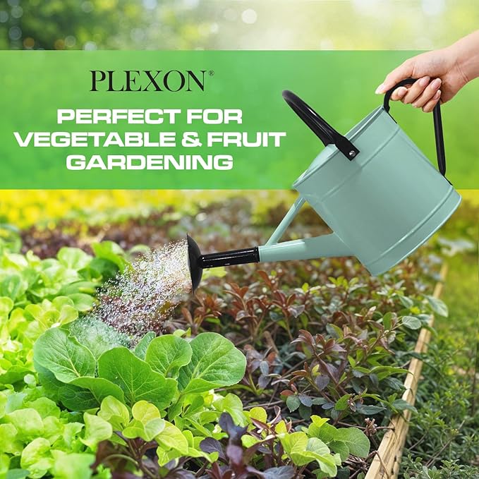 Plexon Metal Watering Can Outdoor 1 Gallon, Flower Plant Gardening Garden Large Watering Can Pot, Black Galvanized Steel Handles and Removable Spray Spout, Aqua Mist Blue