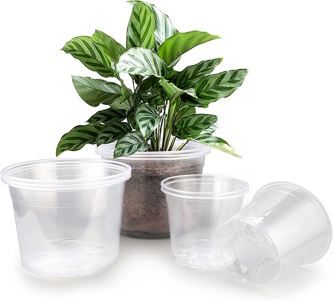 7/8/10 Inch Large Clear Nursery Pots with Drainage, 9 Pack Plastic Pots for Plants, Clear Plant Seedling Pots for Indoor & Outdoor Gardening (7 8 10 inch)