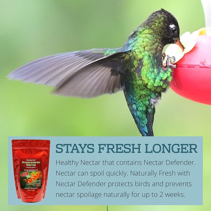 Sapphire Labs Naturally Fresh Hummingbird Nectar with Nectar Defender - Lasts Longer | Easy to Use Powder - Makes 96 oz - 2 Pack