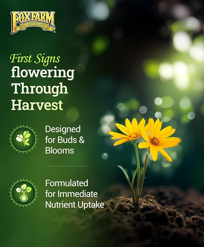 FoxFarm Hydro Liquid Trio Pack - Big Bloom, Grow Big Hydroponic, Tiger Bloom Fertilizers for Plant Growth, Bud Development & Abundant Fruit - Complete Hydroponic Plant Food Set - 3 Quart Bottles
