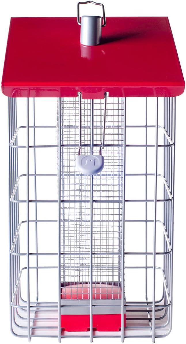 The Nuttery NC015 Geohouse Peanut/Sunflower Seed Feeder