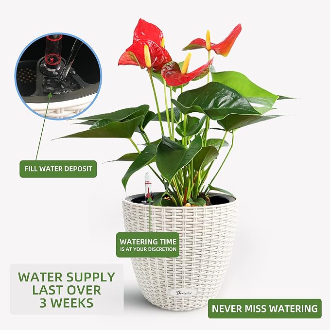 Dexceder 11x10 Self Watering Planter (Ivory White Rattan) | Inner Pot Design, Thickened Table Flower Plant Pot with Water Level Indicator Indoor Outdoor
