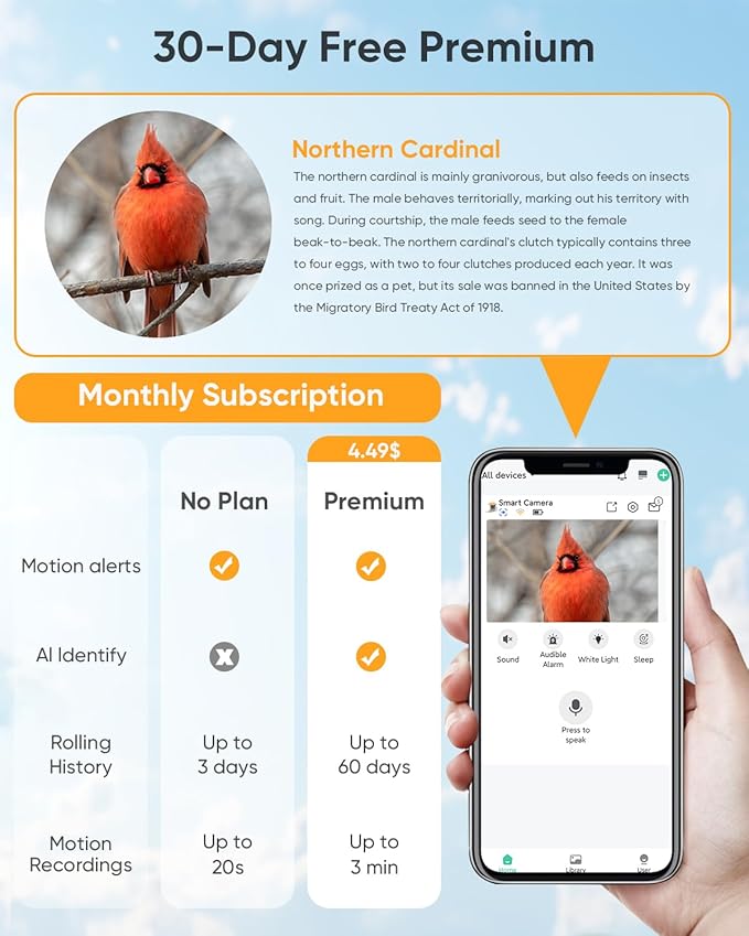 Bird Feeder with Camera Solar Powered: Smart Hummingbird Feeder for Backyard Tree - 2K Live AI Identify Auto Capture Bird Video - WiFi Bird Watching Feeders Gift for Mom Dad