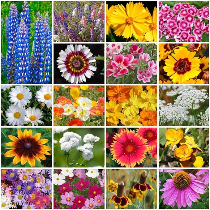 Park Seed Grow Your Own Vibrant Annual and Perennial Wildflower Garden Seeds Mixture, Easy to Grow Varieties for Pollinators and Spring Gardens - Cutting Garden Mix, 1/4 lb