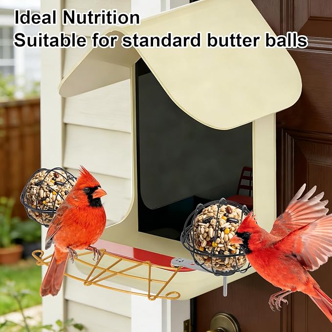 2pcs Suet Ball Holders, Alloy Bird Suet Ball Cage with 2 Fixed Connection Accessories & 4 Screws Durable Bird Feeder Accessories for Outdoor Birds Feeders