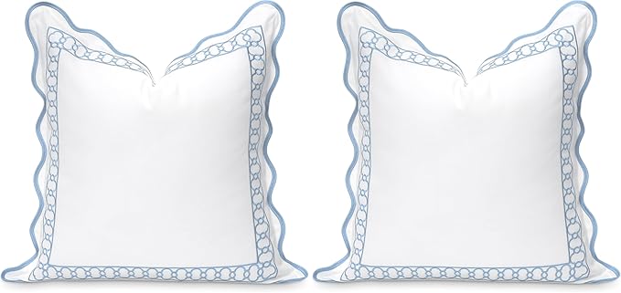 Hofdeco Premium Coastal Patio Indoor Outdoor Scalloped Throw Pillow Cover Only, 20"x20" Water Repellent for Backyard, Couch, Baby Blue Embroidered Begonia Pattern Chain Frame (Pack of 2)
