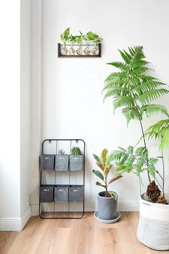 Mkono Plant Terrarium with Wooden Stand, Wall Hanging Glass Planter Desktop Propagation Bulb Vase Metal Swivel Holder Retro Rack for Hydropoincs Plants Home Office Decor（5 Bulb Vase）