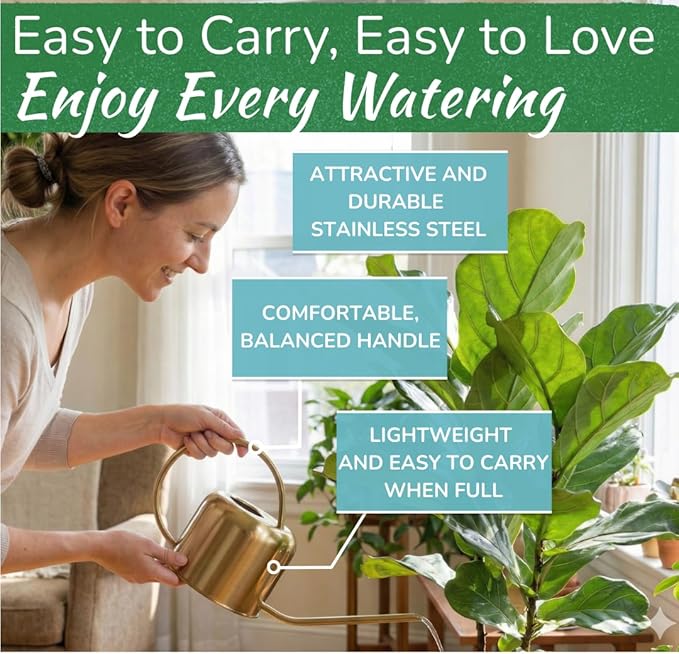 Stainless Steel Watering Can for Houseplants by Houseplant Resource Center | 1L Capacity for Indoor/Outdoor Plants in Brushed Silver