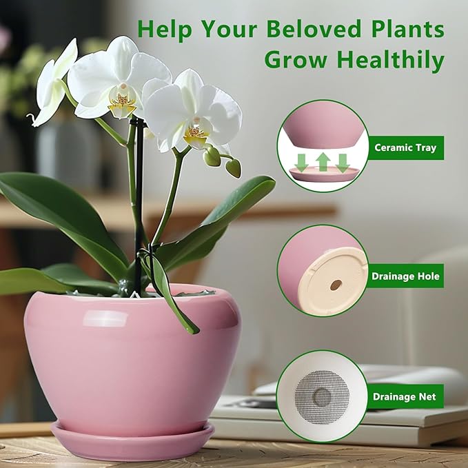 Ceramicfor Ceramic Modern Glaze Succulent Planter Pot with Drainage Hole and Saucer 8 Inch Round Flower Plant Pot for Indoor Outdoor Herb Snake Plants, Pink