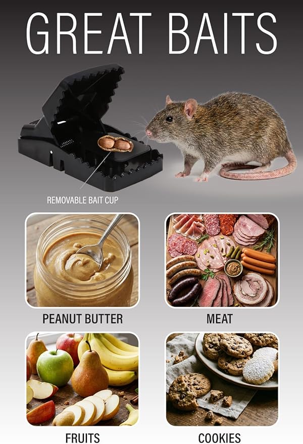 Rat Traps Indoor (2 Pack) Catch Rats, Mice, and Voles Fast with These Simple to Bait, Safe to Set, Non Electric Rat Trap for Home, Yard, and Barn
