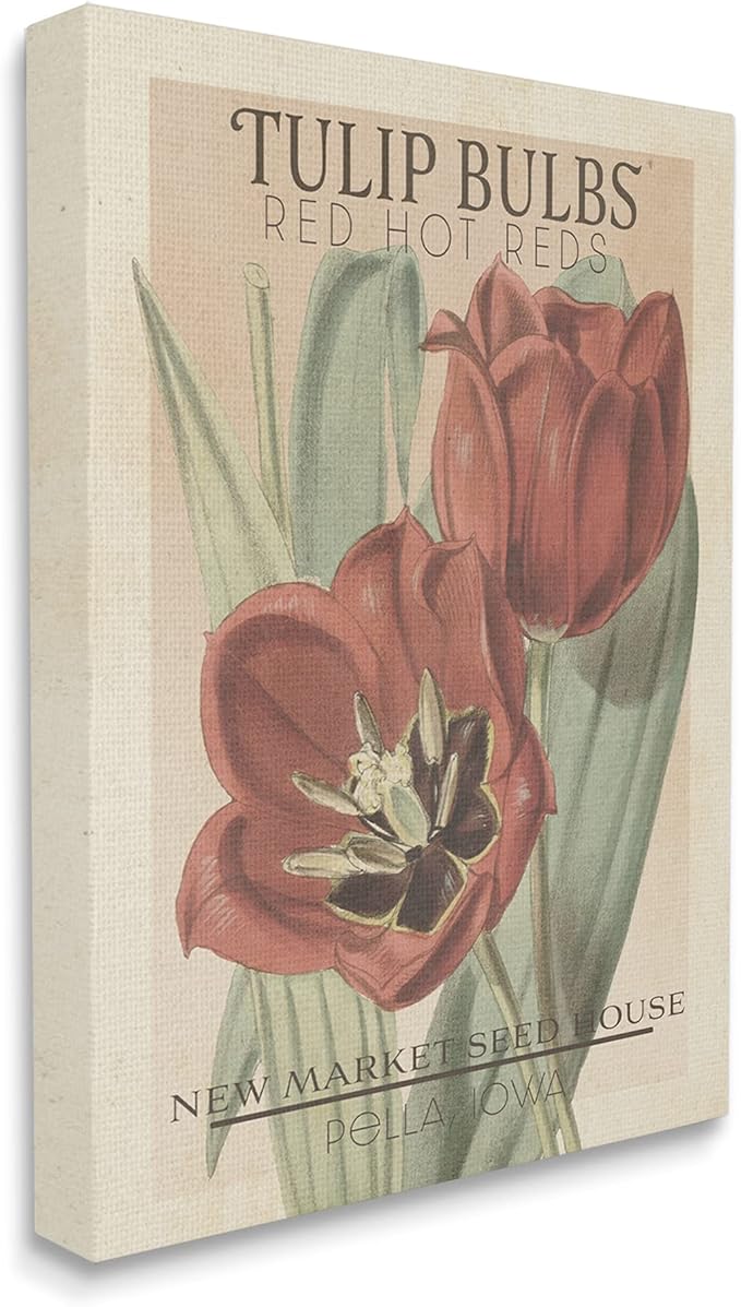 Stupell Industries Hot Red Tulip Bulbs Antique Floral Seed Packet