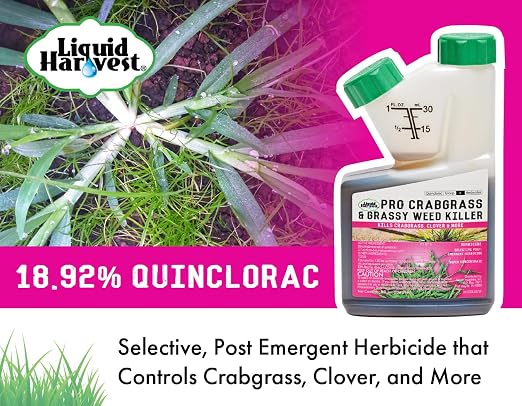 Pro Crabgrass & Grassy Weed Killer - 18.92% Quinclorac (Compare to Drive XLR8) – Concentrated Professional Crabgrass Herbicide – Quick Drying with Residual Control - 8 Ounces