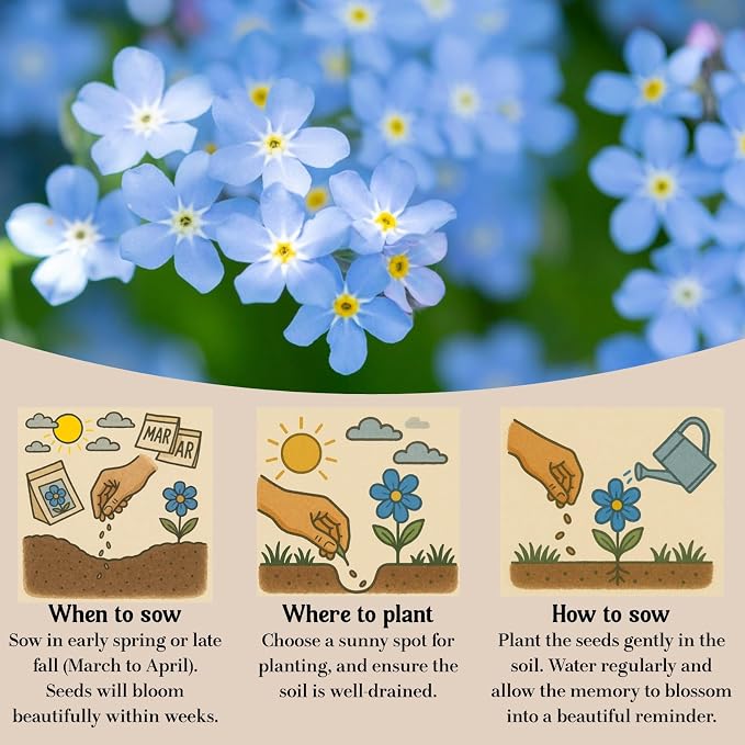 60Pack Forget Me Not Seeds Bulk - Memorial Seed Packets for Funeral Favors, Celebration of Life, Remembrance Gifts - Easy Planting Spring Flower Seeds Outdoor Garden Decor