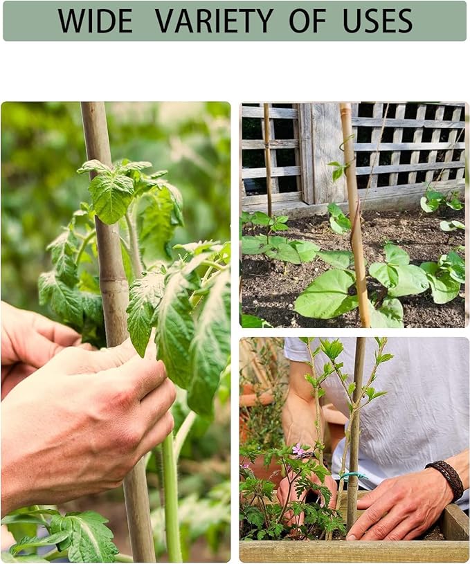 60 Pack Bamboo Stakes for Plant 5 Feet (58inch) with Twist Ties Bamboo Sticks Plant Support Garden Stakes Poles for Tomatoes Cucumber Grapes Pole Beans Trees Potted Dahlia Flowers