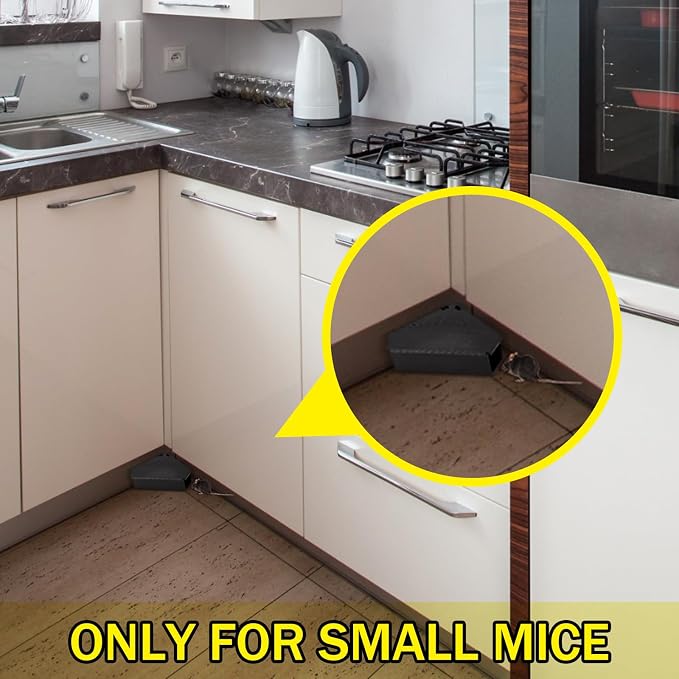 Qualirey 24 Pcs Mice Station with Key Triangle Mouse Station Lockable Reusable Bait Box, Enclosed Design for Indoor and Outdoor Use, Suitable for Small Mice (Black,Keys are Silver)