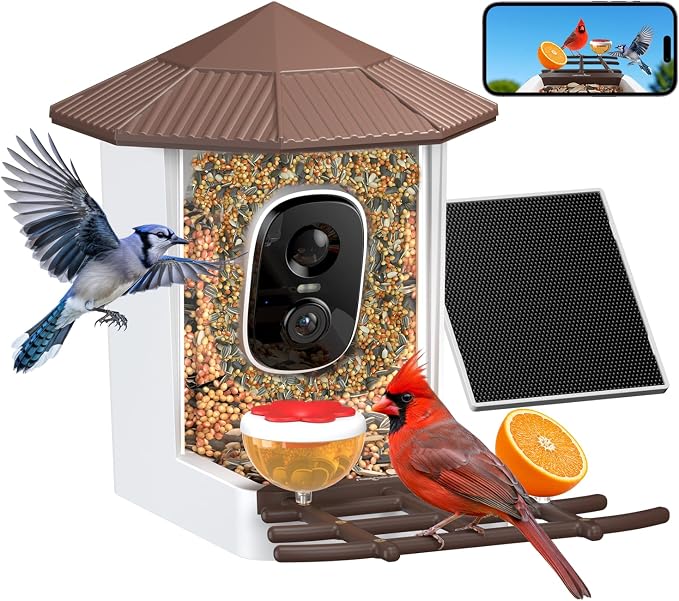 wansview Bird Feeder with Camera-Smart Bird Feeders for Outdoors Solar Powered, Birdhouse with Cam & Alert, 2K Live Video, AI Identify Species, Birdwatching Gift for Father's Day, F1, Brown, 2.4G WiFi