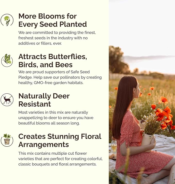 Eden Brothers California Wildflower Mixed Seeds for Planting, 5 lb, 2,400,000+ Seeds with Black Eyed Susan, Shasta Daisy | Attracts Pollinators, Plant in Spring or Fall, Zones 3, 4, 5, 6, 7, 8, 9, 10