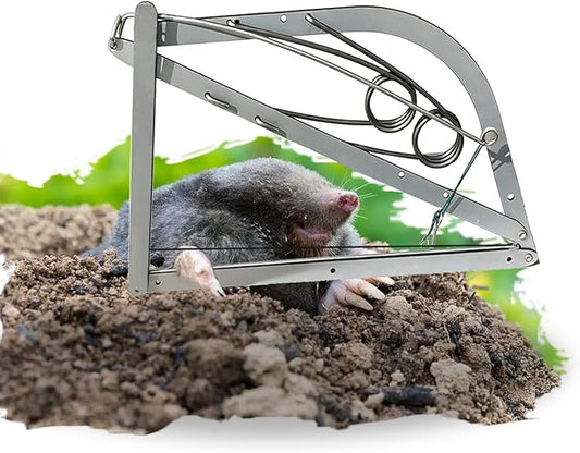 Reusable Outdoor Chipmunk Spring Trap - for Meadow, Woods, Orchard, Gardens & All Outdoor Spaces (1, L-8IN)